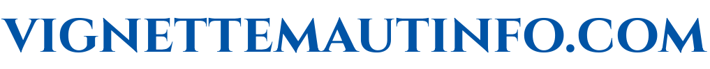 vignettemautinfo.com Logo
